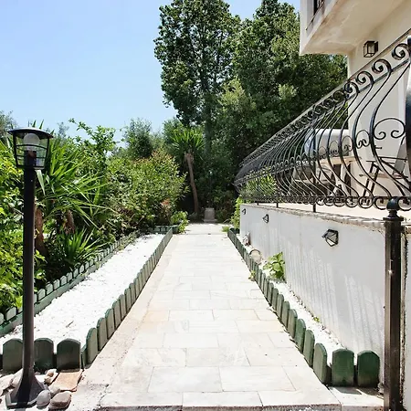 Yiannis Superior 8 Zakynthos